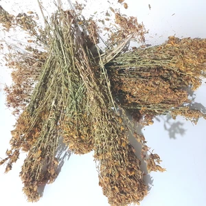 Hacıosman Çiftliği Yabani Sarı Kantaron Çiçeği (Hipersin) Çayı 110GR