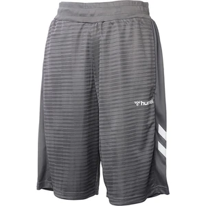 Hmlbarnı Shorts Gri Erkek Şort 931366-1320