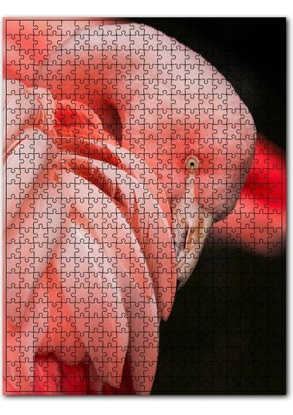 Siyah Arkaplan Flamingo Yakın Plan 120 Parça Puzzle Yapboz Mdf (Ahşap)