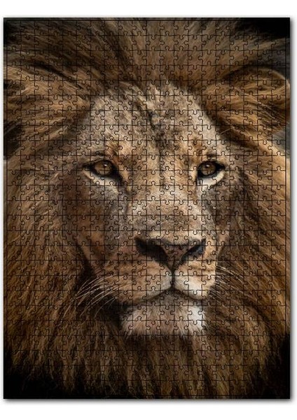 Muhteşem Erkek Aslan Yakın Çekim 120 Parça Puzzle Yapboz Mdf (Ahşap)