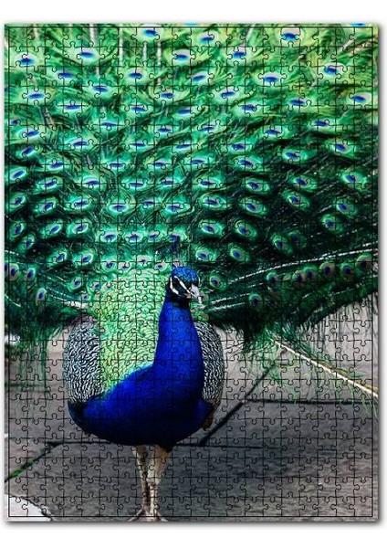 Tavuskuşu ve Muhteşem Tüyleri 120 Parça Puzzle Yapboz Mdf (Ahşap)