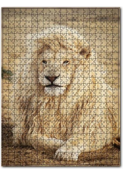 Sarı Tüylü Erkek Aslan 1000 Parça Puzzle Yapboz Mdf (Ahşap)