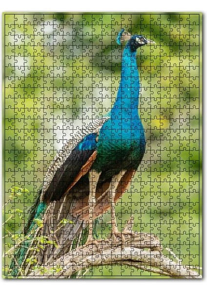 Dal Üzerinde Hint Tavuskuşu Görseli 120 Parça Puzzle Yapboz Mdf (Ahşap)