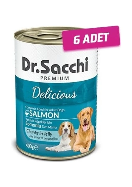 Dr. Sacchi 6 Adet - Dr.sacchi Somonlu Yetişkin Köpek Konservesi 400GR