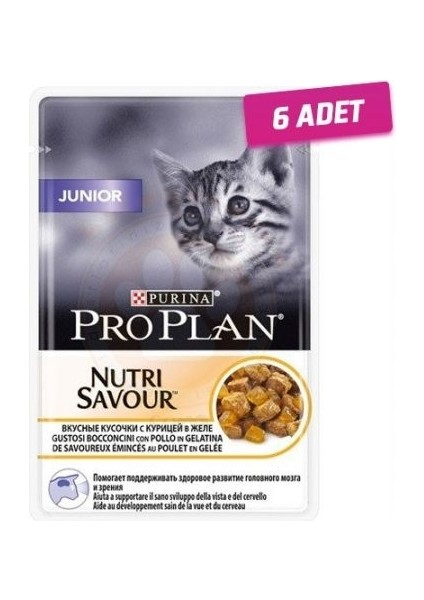 6 Adet - Pro Plan Kitten Yavru Kedi Pouch Konserve 85 gr