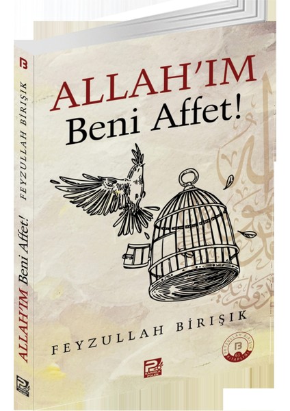 Allah'ım Beni Affet! - Feyzullah Birışık