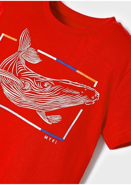 Mayoral-Erkek ÇOCUK-T-SHIRT-SS22-M3010 fırsatları