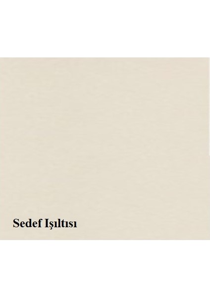 Silikonlu Özel Mat Iç Cephe Boyası 2.5 Lt + Tavan Boyası 3.5 kg + 4 Parça Boyama Seti fiyatları