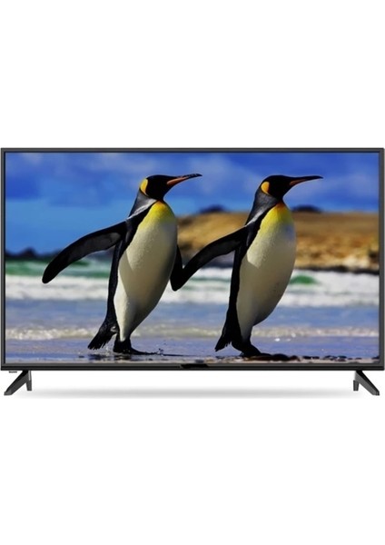 BL32325G 32" 81 Ekran Uydu Alıcılı HD Ready Smart LED TV