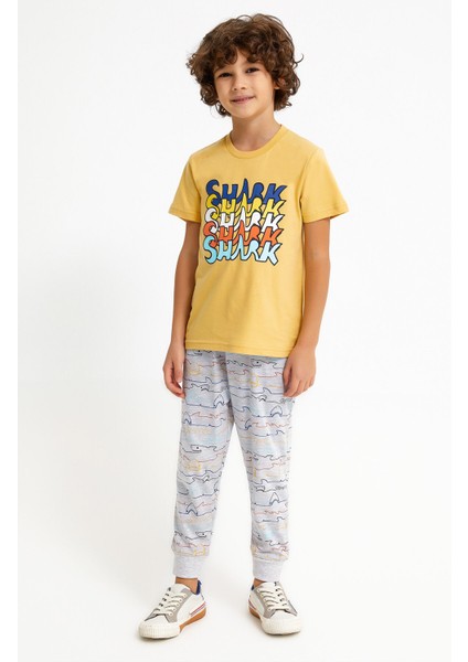 Shark Hardal Erkek Çocuk Eşofman Takımı fiyatları