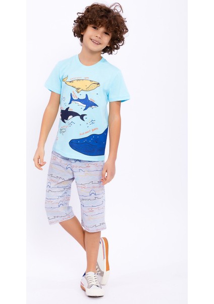Blue Whale Turkuaz Erkek Çocuk Kapri Takım modelleri