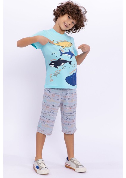 Blue Whale Turkuaz Erkek Çocuk Kapri Takım fırsatları