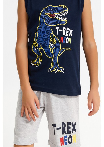 T-Rex Lacivert Erkek Çocuk Bermuda Takım fırsatları