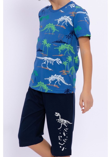 Dinosaur Cobalt Mavi Erkek Çocuk Bermuda Takım fırsatları