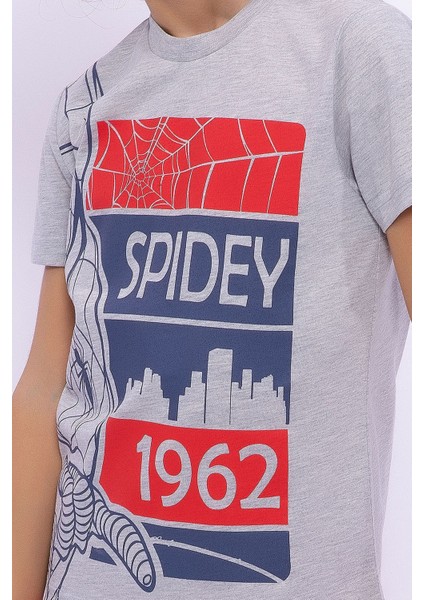 Spidey Grimelanj Erkek Çocuk Bermuda Takım