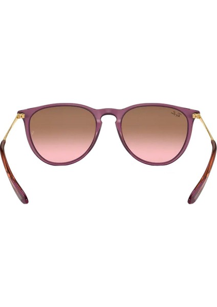 RB4171 659114 54 Unisex Güneş Gözlüğü modelleri