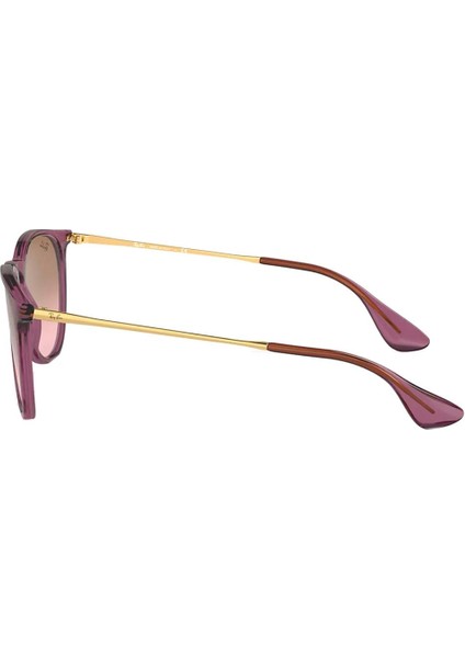 RB4171 659114 54 Unisex Güneş Gözlüğü indirimleri