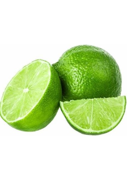 Nadir Ithal Lime Tohumu Ekim Seti modelleri