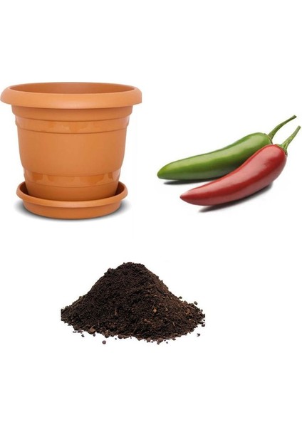 Acı Meksika Biberi Tohumu Ekim Seti