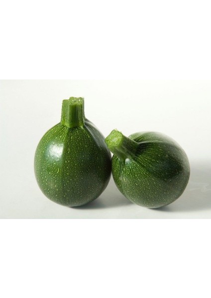 Nadir Topak Kabak Tohumu Ekim Seti fiyatları