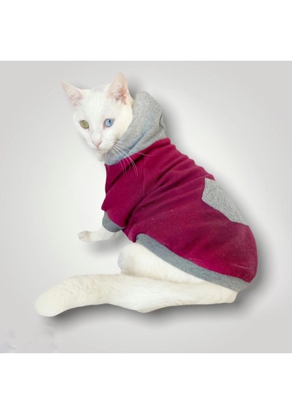 Burgundy Gray Kapşonlu Sweatshirt Kedi Kıyafeti