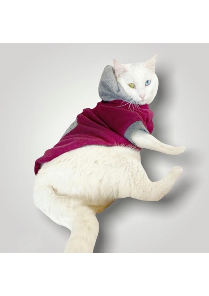 Burgundy Gray Kapşonlu Sweatshirt Kedi Kıyafeti fiyatları