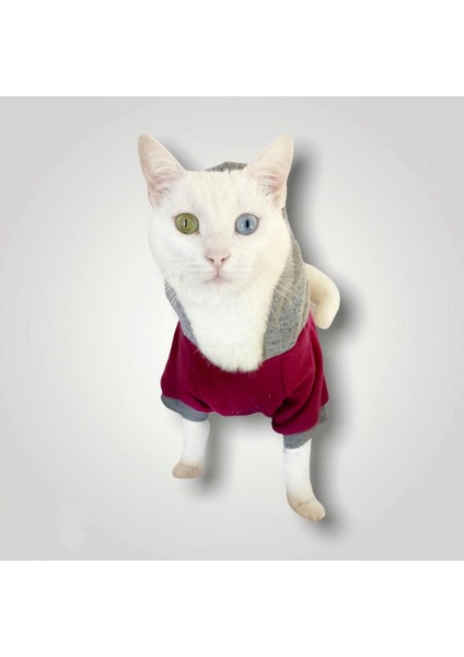 Burgundy Gray Kapşonlu Sweatshirt Kedi Kıyafeti modelleri