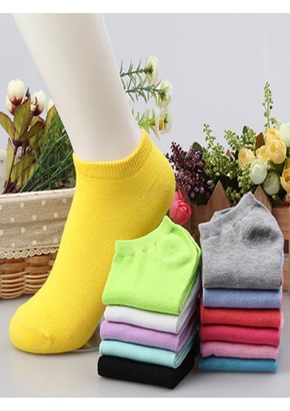 10 Çift Bayan Renkli Patik Çorap modelleri
