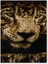 Leopar Su Içerken 120 Parça Puzzle Yapboz Mdf (Ahşap) 1