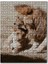 Romantik Aslan Çift 1000 Parça Puzzle Yapboz Mdf (Ahşap) 1