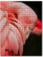 Siyah Arkaplan Flamingo Yakın Plan 120 Parça Puzzle Yapboz Mdf (Ahşap) 1