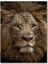 Muhteşem Erkek Aslan Yakın Çekim 120 Parça Puzzle Yapboz Mdf (Ahşap) 1