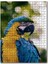 Sarı Mavi Macaw Papağanı 120 Parça Puzzle Yapboz Mdf (Ahşap) 1