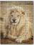 Sarı Tüylü Erkek Aslan 1000 Parça Puzzle Yapboz Mdf (Ahşap) 1