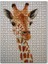 Çıtkırıldım Zürafa Çizim 1000 Parça Puzzle Yapboz Mdf (Ahşap) 1