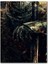 Dark Souls 2 Savaşçı Şövalye 120 Parça Puzzle Yapboz Mdf (Ahşap) 1