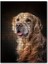 Güzel Golden Retriever Köpek Resimleri 120 Parça Puzzle Yapboz Mdf (Ahşap) 1