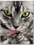Patisini Yalayan Sevimli Tekir Kedi 255 Parça Puzzle Yapboz Mdf (Ahşap) 1