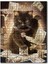 Zengin Kedi Desenli Görsel 120 Parça Puzzle Yapboz Mdf (Ahşap) 1