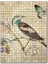 Mektup Kuş Kelebek Baskılı Görsel 120 Parça Puzzle Yapboz Mdf (Ahşap) 1