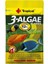 3-Algea Flakes 12 gr 1