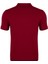 Regular Fit Polo Yaka %100 Pamuk Kısa Kollu Basic Penye T-Shirt-PE3603TY22 2