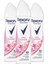 Motionsense Kadın Sprey Deodorant Sexy Bouquet 150 Ml X3 2