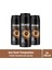 Erkek Deodorant & Bodyspray Dark Temptation 48 Saat Etkileyici Koku 150 Ml X3 1