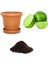 Nadir Ithal Lime Tohumu Ekim Seti 1