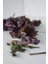 Ekinezya Çayı 150 gr 2