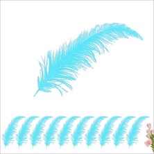 Süsle Bebek ve Parti Şeffaf Balon İçi Kuş Tüyü, 100 Adet - Mavi