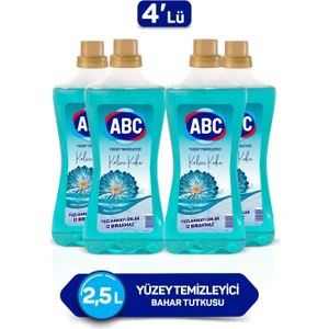 Abc Yüzey Temizleyici 2,5 Lt 4'lü Set Bahar Tutkusu