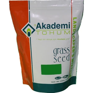 Akademi Tohum 4A Silver