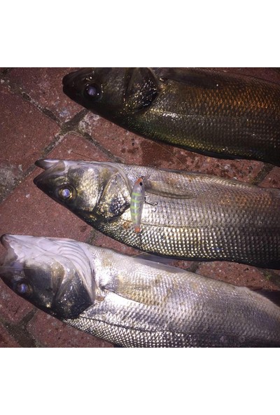 Hanfish Zıpır kg 50MM 4,5gr Maket Balık
